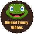 Funny Ani... icon