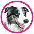 Dog Train... icon