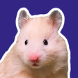 HAMSTERS ... icon