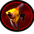 MasterAqu... icon