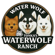 Tonka the... icon