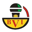 BVI Chann... icon