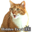 Mylo the Cat icon