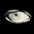 Eyes On C... icon