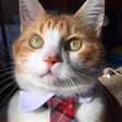 Butters T... icon