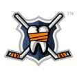 hockeyfig... icon
