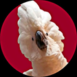 Rebecca S... icon