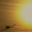 tbobborap1 icon