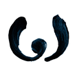 Wikitongues icon
