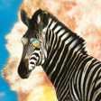 Sneaky Zebra icon