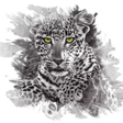Wildlife ... icon