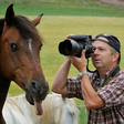 nature tv... icon
