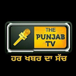 The Punja... icon