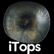 iTops icon