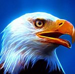FromTheOtherAngles icon