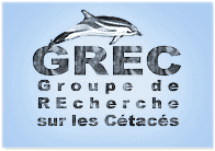 Cetaces.org icon