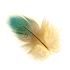 BLOG - Clau Escritos icon
