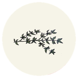Especiaria - novas publicações icon