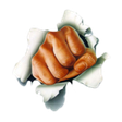 bhadas4media icon
