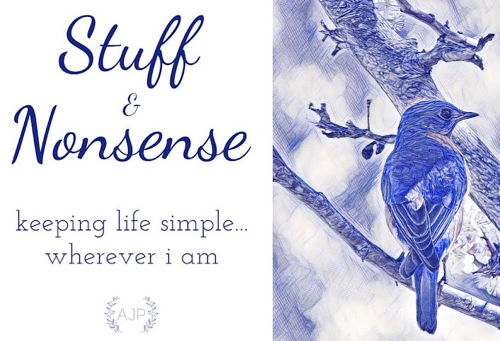 Anne Payne/Stuff & Nonsense icon