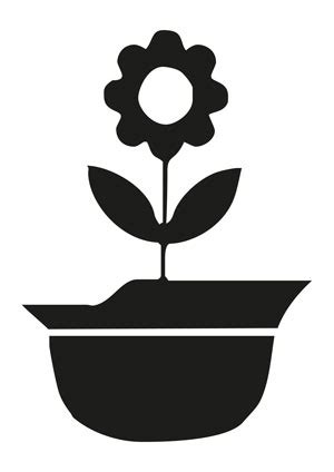 Canariasporlapaz icon