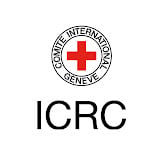 Internati... icon