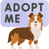 PetAdopt ... icon