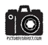 PictureCo... icon