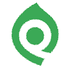 Quick Sprout icon