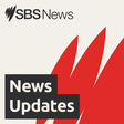 SBS News icon