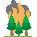 Wildfire ... icon