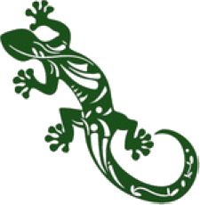 Gecko-Reisen icon