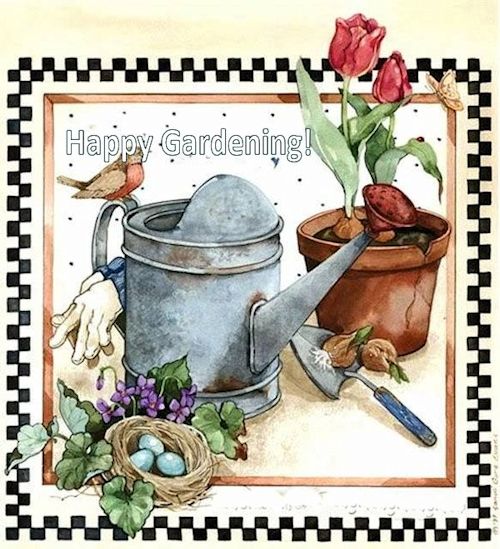A Guide to Northeastern Gardening  icon