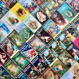 Carosbookcase icon